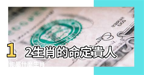 生肖貴人|12生肖的命定貴人曝 遇到他們註定由窮轉富